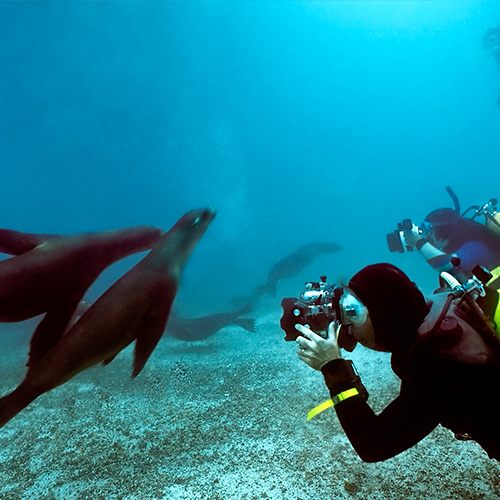 Galápagos